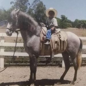 Meet your Posher, Joaquin